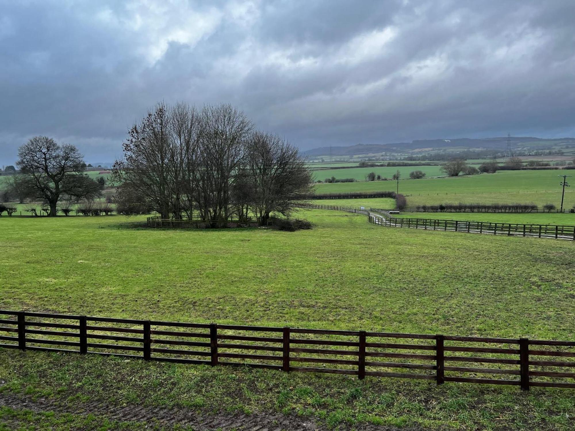 Burtree Country House, Tipi'S, Treehouse & Lodge & House Rooms With Hot Tubs In A Private Garden Thirsk Eksteriør bilde